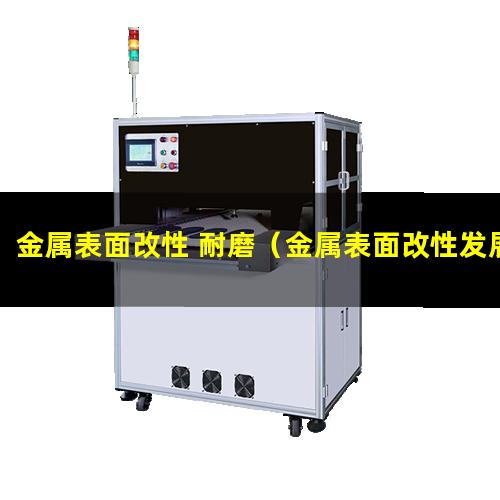 金属表面改性 耐磨（金属表面改性发展现状论文）